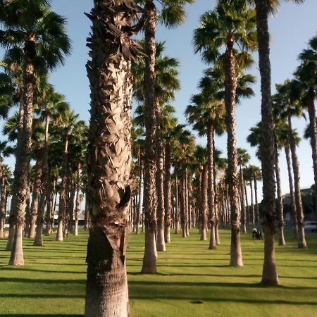 Apartamento Garland Agaete Parque Playa del Inglés Esterno foto